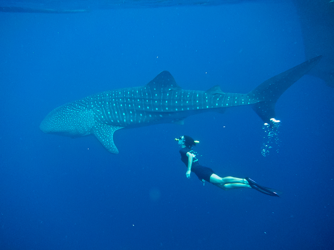 diving